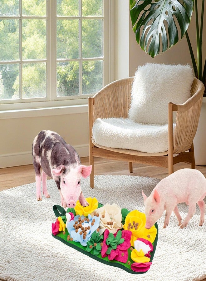 OOXYG Pig Foraging Mat, Interactive Mini Pigs Enrichment Toys, Treat Mat Toy for Mini Pigs and Farm Puzzle Pad, Hanging Chew Snuffle Pad Bed Enrichment Toy for Pigs to Play with for Pigs - Image 2